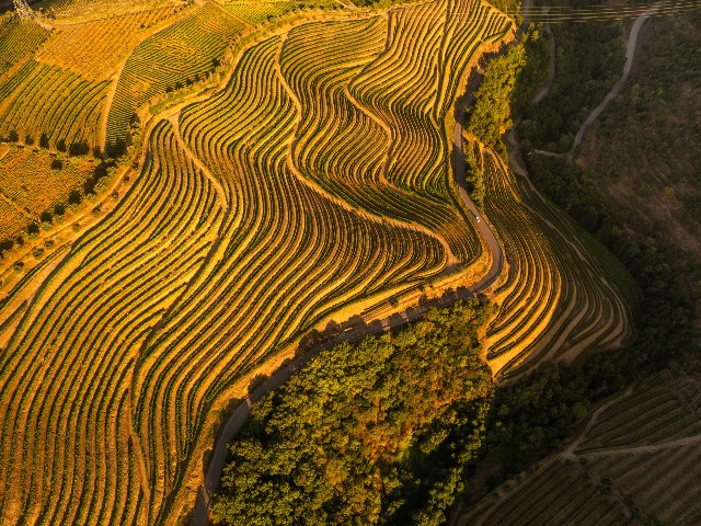 Where to go in Douro Valley?